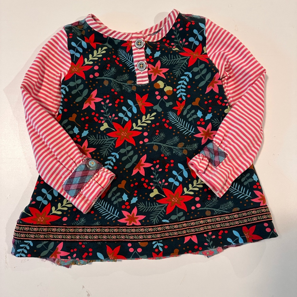 Matilda Jane shirt 2t